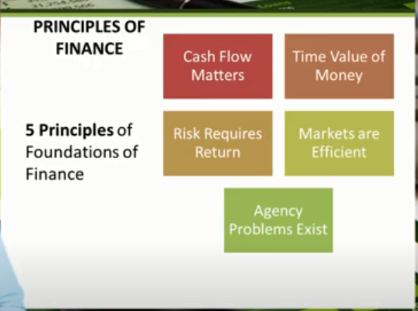 a principal in finance scheme